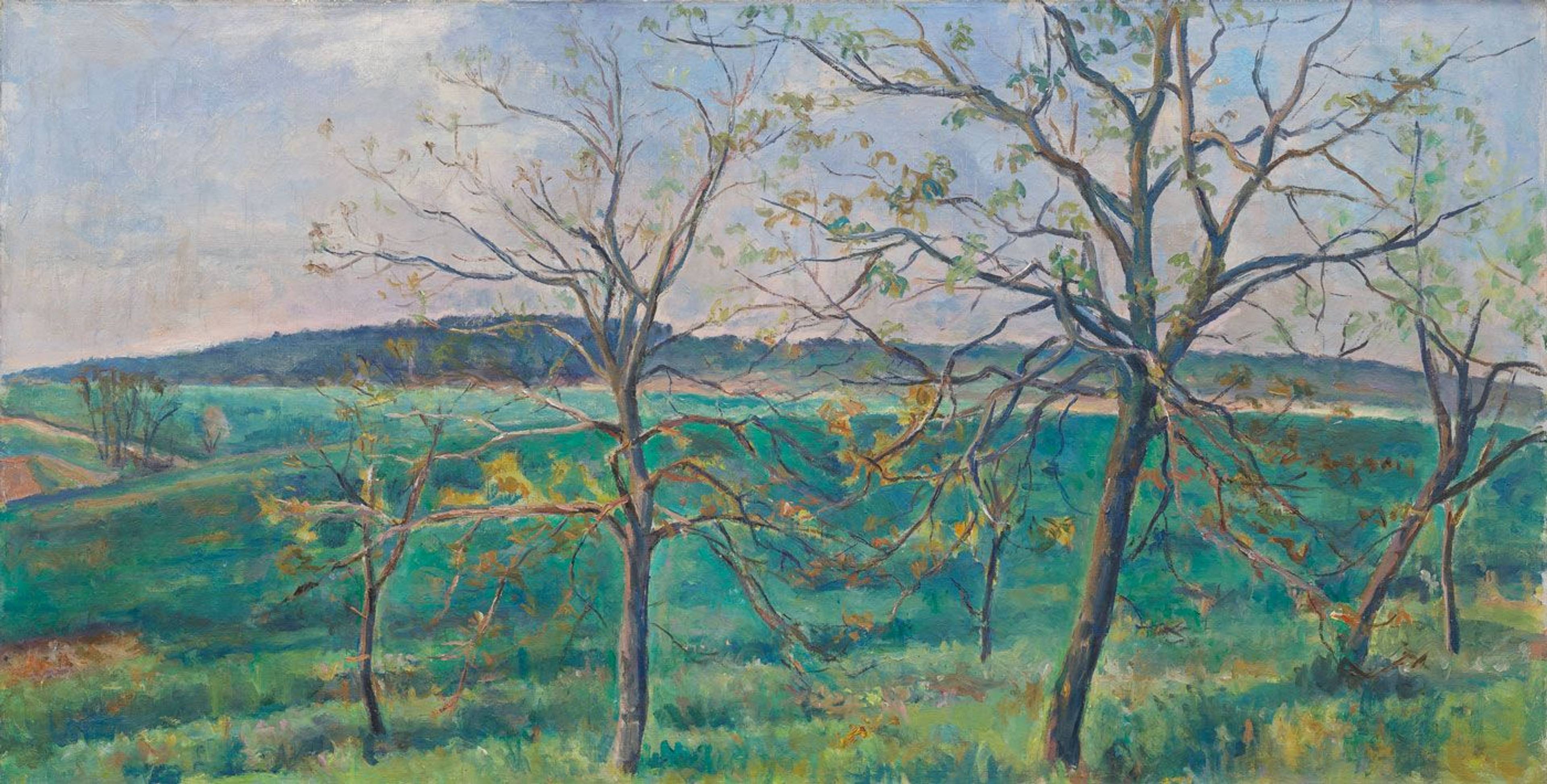 Rabas_Vaclav_Rasici_orechy_male