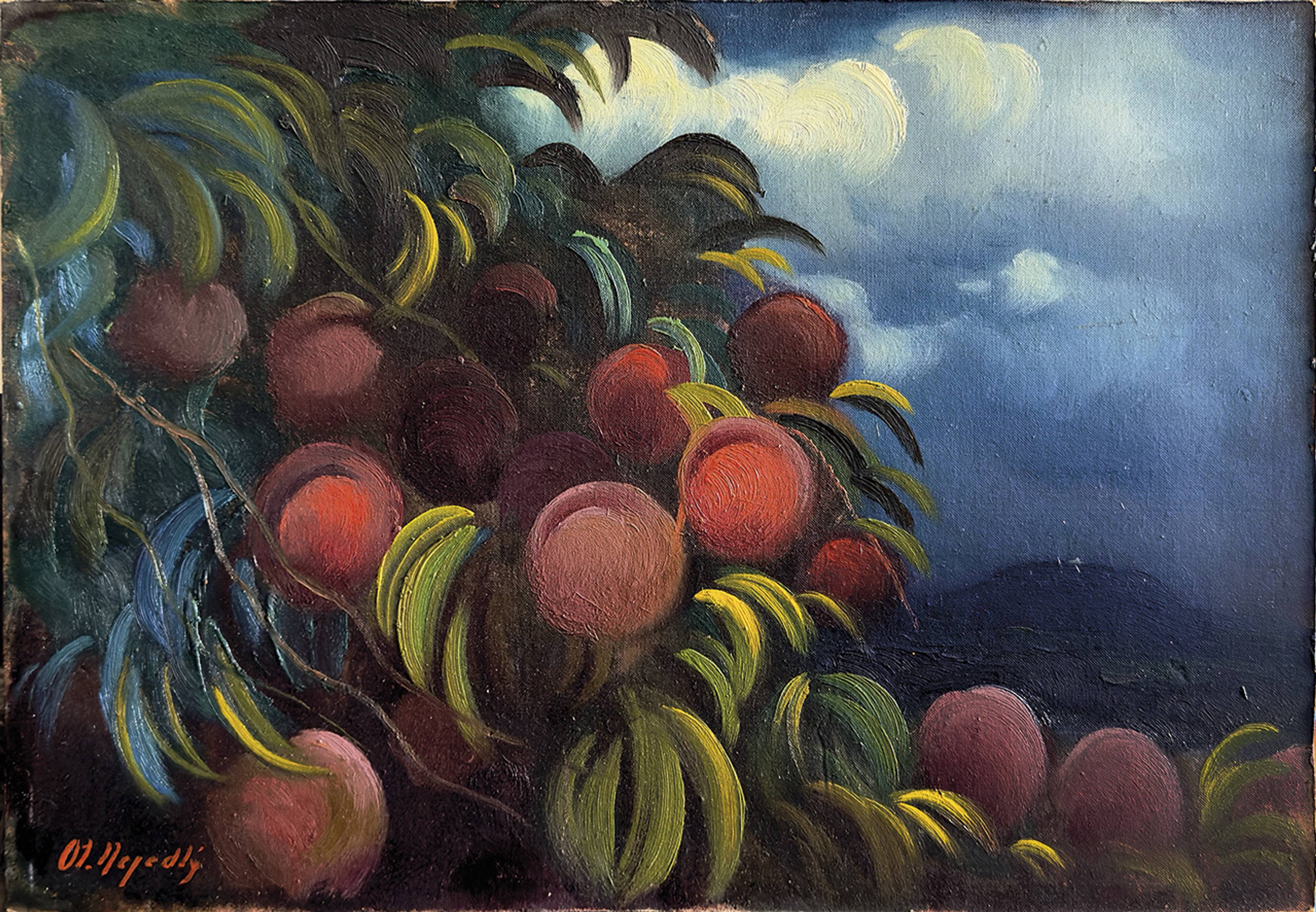 nejedly_broskvon_michal